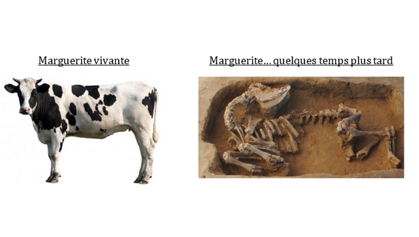 La radioactivité
