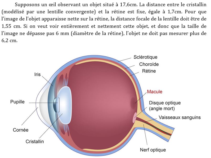 Modèle de l'oeil et représentation géométrique